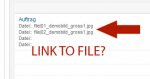 Free attribute type Uploaded files not linked and path to files